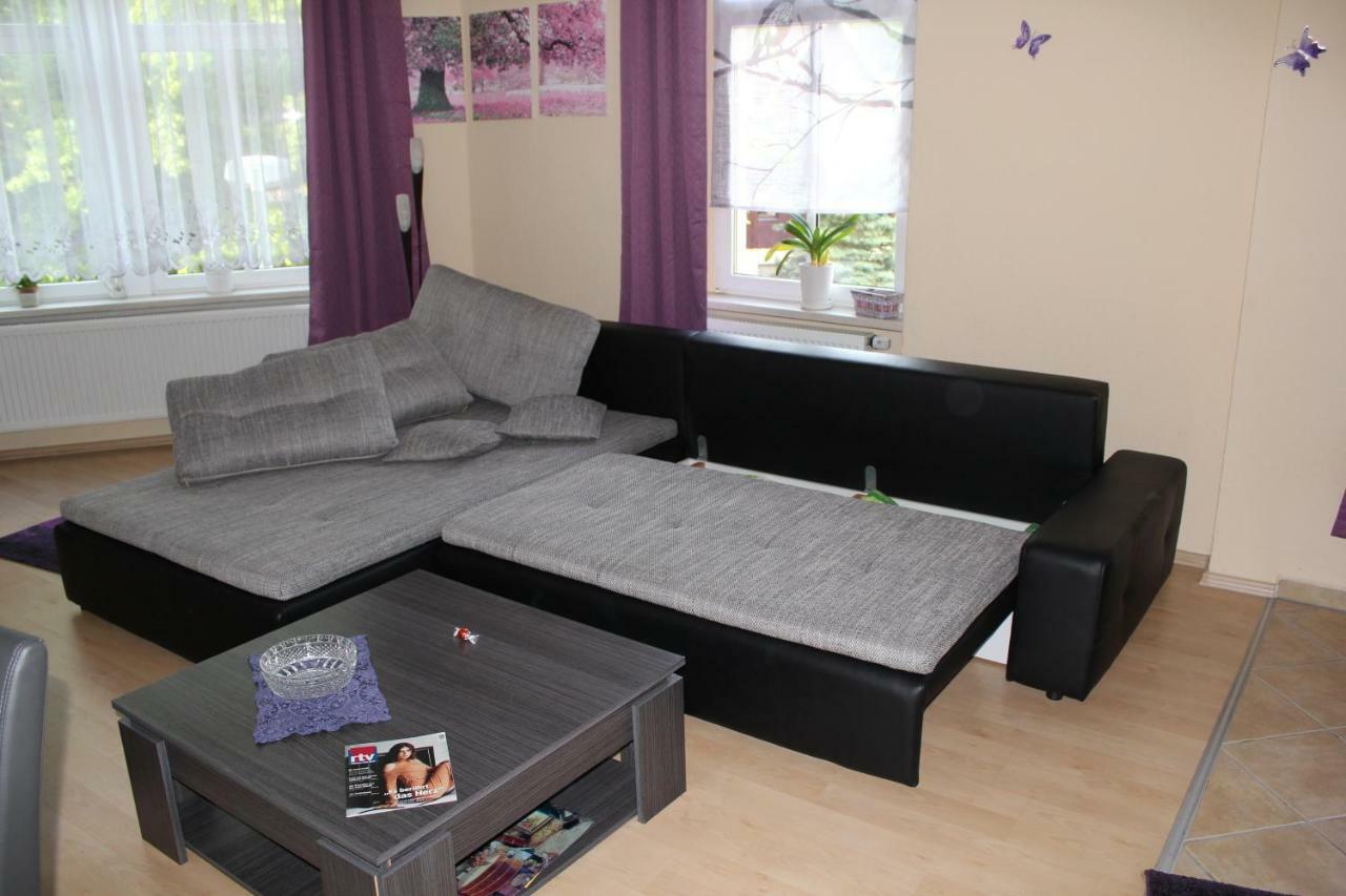 Ferienwohnung Am Schunckpark Dresden Eksteriør billede